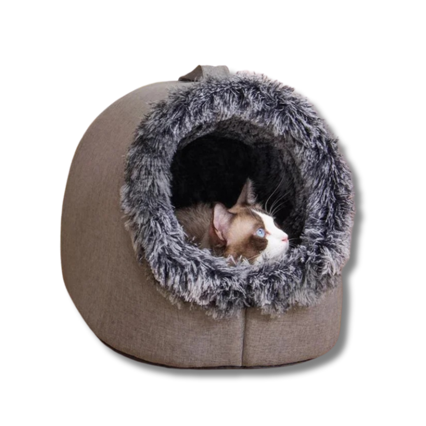CozyCave - Die Kuschelhöhle für deine Flauschnase