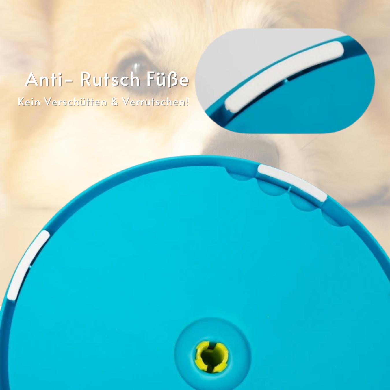 SlowBowl - Das Original