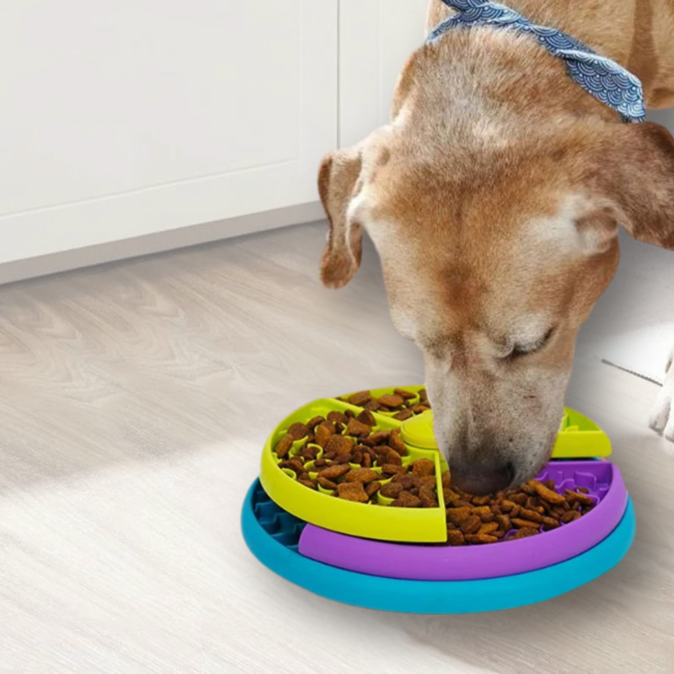 SlowBowl - Das Original